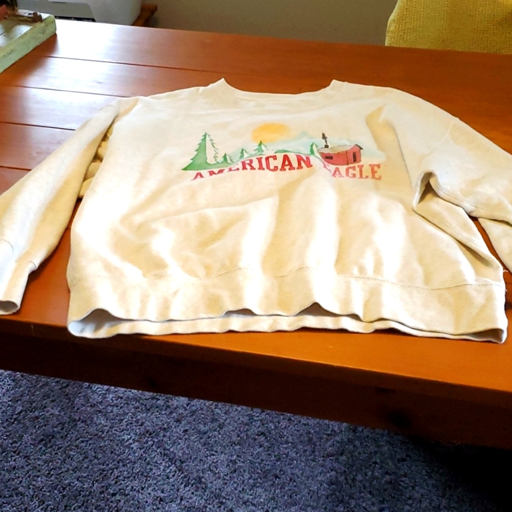 Mens American Eagle sweat